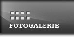 Fotogalerie